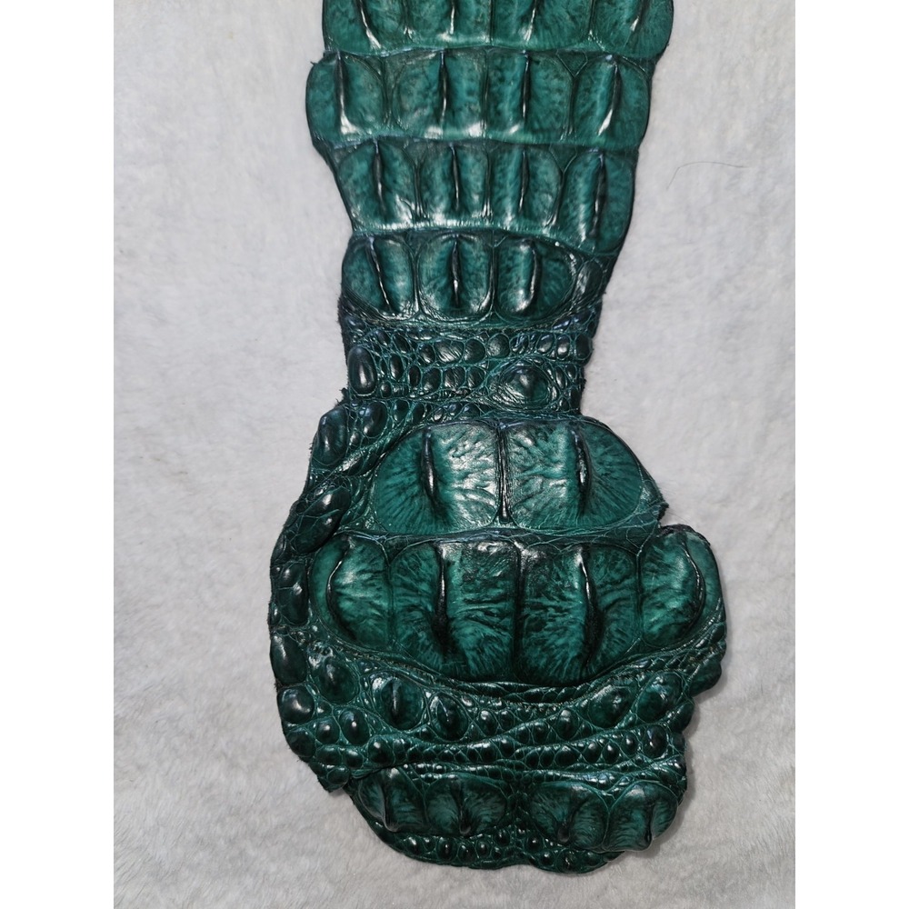 Vintage Caiman Hornback Belt Exotic Western Leather Taxidermy Green Alligatorida